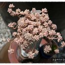 두동농장 이미지