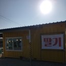 옥남농장 네이버블로그