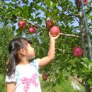 은비네농장 이미지