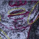 미인도 미스터리 KBS 이미지