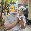 느린여름 | [파주 운정] 느린여름카페 방문후기 (파주 반려 동물 동반가능카페추천)