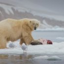 Pacific BUBBLES 이미지