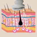 성가한의원 | 병원 대신 집에서! 미세전류로 탄력 통증관리 한번에 뉴스킨 웰스파 io