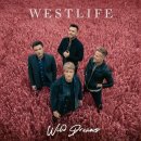 Starlight - Westlife | 스타라이트 | 웨스트라이프 이미지