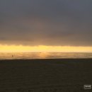 양양에 살다 이미지