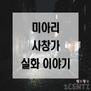 성화미용실자판기 | 네이트판 레전드 썰 미아리 사창가 실화 이야기