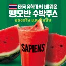 커피사피엔스 - 27897 | 커피사피엔스