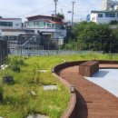 더뷰호스텔(더뷰동피랑호스텔) 이미지