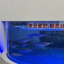 수원-1731 | 수원 한식 맛집, 고등어명품이되다 가족식사 추천