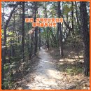 등산로(하) 이미지