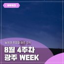 교통문화연수원 대강당 | ✨광주 WEEK✨ 8월 4주차 놓치면 후회할 이번 주 광주 소식!