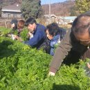 약용작물센터 이미지