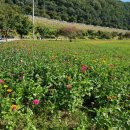 평림댐 화장실 이미지