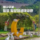 밀양댐생태공원 | 경남 밀양 나들이 등나무꽃 개화상태 밀양댐생태공원