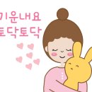 코끼리카센타 이미지