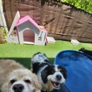 베베네 개스트하우스 이미지