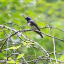 망경대산자연휴양림 이미지