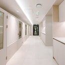 몽벨로 펫 케어센터 이미지