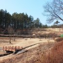 다라국황금이야기길 이미지