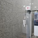 양양하다 이미지