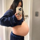 베니 카카오 검색결과