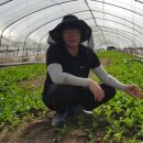 김현규농장 이미지