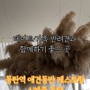 애견백화점 동탄점 이미지