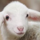 노래교실A 이미지