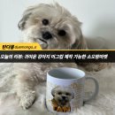 오랑마켓
