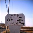 유방6통 Daum카페