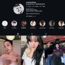 제주 웨딩 스냅 촬영 후기 :: MIDENGE 미덴지 캄포데피오리 패키지