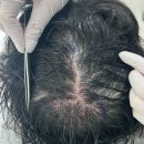 자라다의원 이미지