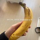 아재커피충정로점 | 20250205-28