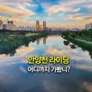 안양천 이미지