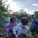 곰마을민박 이미지