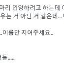 언니 제가 강아지 한 마리 입양하려고 하는데 이름 좀 지어주세요 이미지