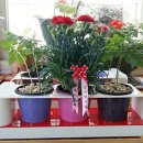 삼밭협동조합 이미지