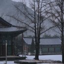 원광대학교사범대학 부속유치원 | 2025학년도 동계학기
