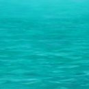 대구가톨릭대학교 디자인대학원 이미지