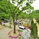 (주)힐링&자연 이미지