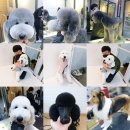 랄라펫살롱 이미지