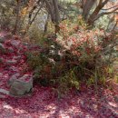 용천약수 이미지