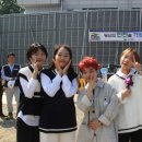 야탑청소년수련관 이미지