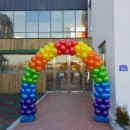 용인초등학교(병설) 이미지