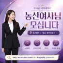 포시즌마트 티스토리