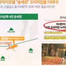 무등산자락 무돌길 13길 용추계곡길 이미지