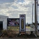 54게스트하우스 | 제주도 서귀포 산방산 근처 적당한 게스트하우스 숙박 파티 후기