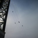 대한수산회센타 이미지