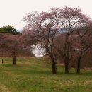 아라메길(2-1) 이미지