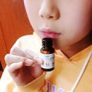 (주) 폰티스